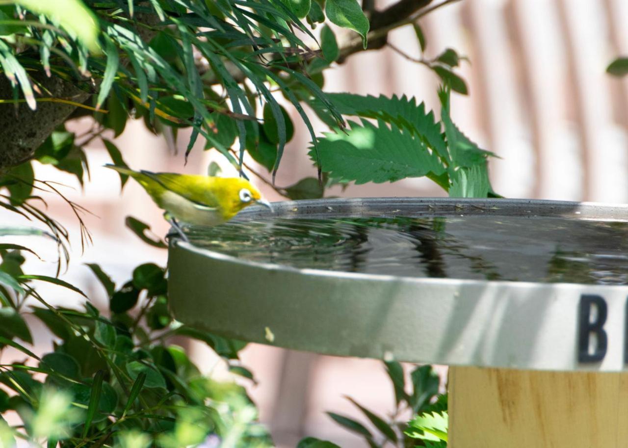 Bird Hotel Kamakura Eksteriør bilde